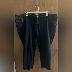 Women Within Indigo 28W Carpi Jean